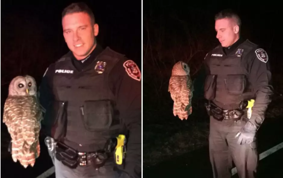 Red Hook Owl Cop Talks About Going Viral