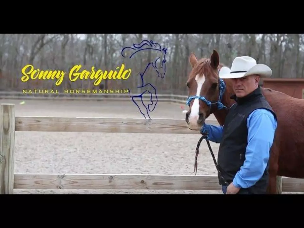 WAPPINGERS FALLS &#8211; Sonny Garguilo. Natural Horsemanship Clinic