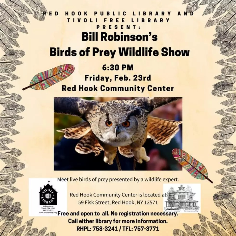 RED HOOK &#8211; Bill Robinson&#8217;s Birds of Prey Wildlife Show!