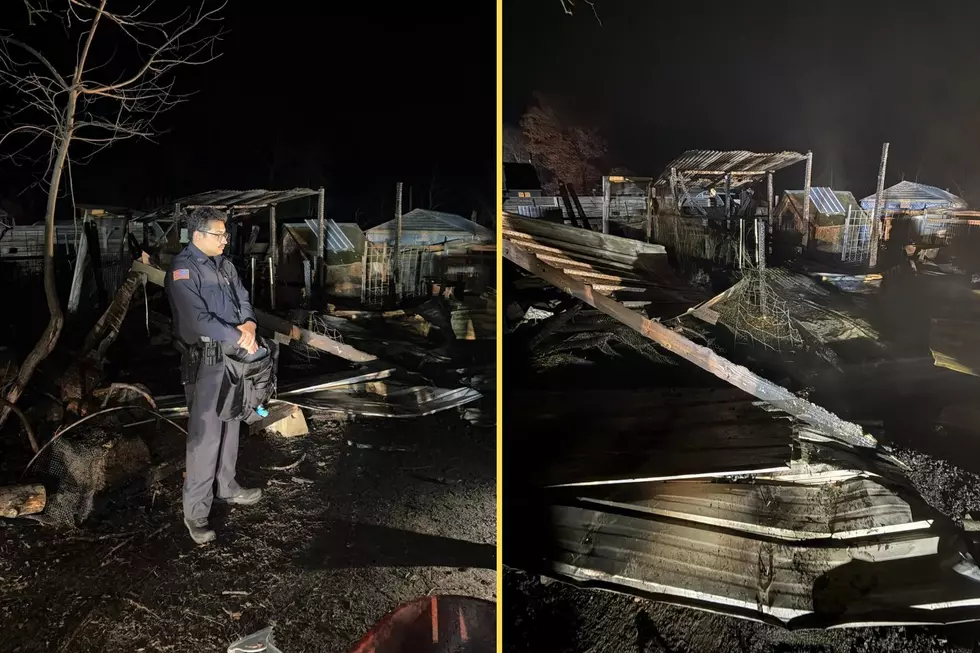 PHOTOS: Powerful Fire Claims Lives of Livestock in Ulster County