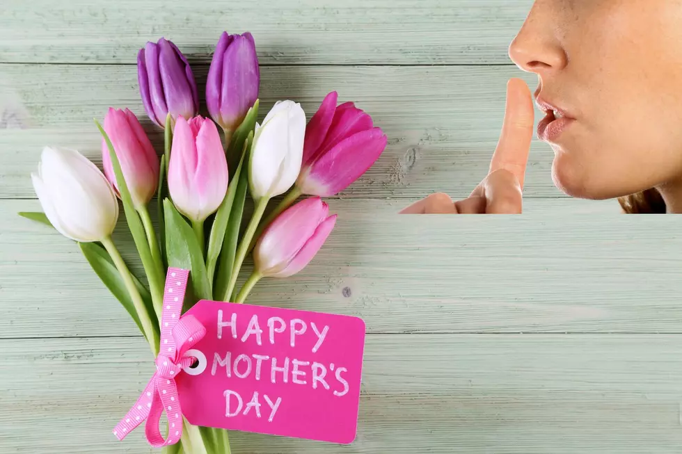 Five Easy Ideas For Hudson Valley Moms This Mother’s Day