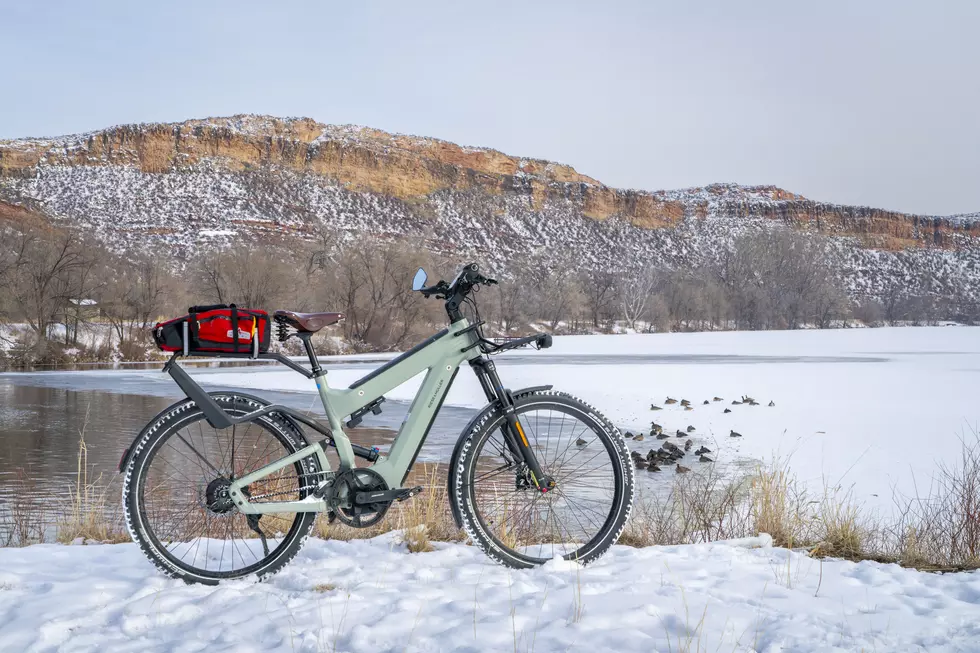 New Proposal Expands Mobility Device Use In New York Parks