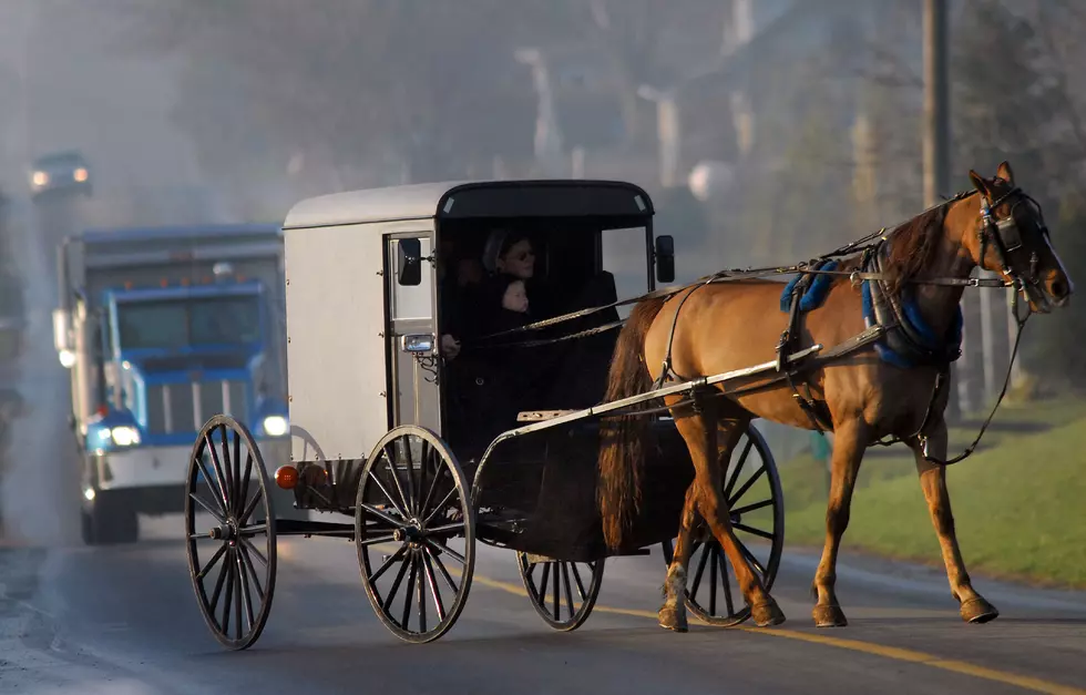 Pick-Up Truck Hits Amish Buggy in New York State, Killing Horse