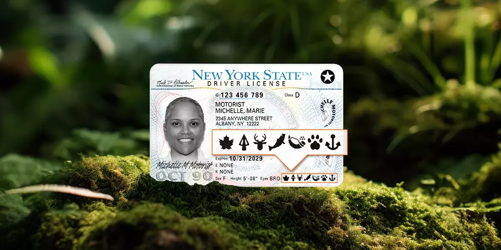 How To Turn Your New York State License To a NYS Adventure License