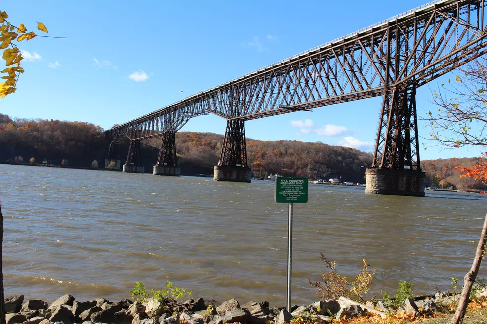 March for Babies at Walkway Over the Hudson Sunday