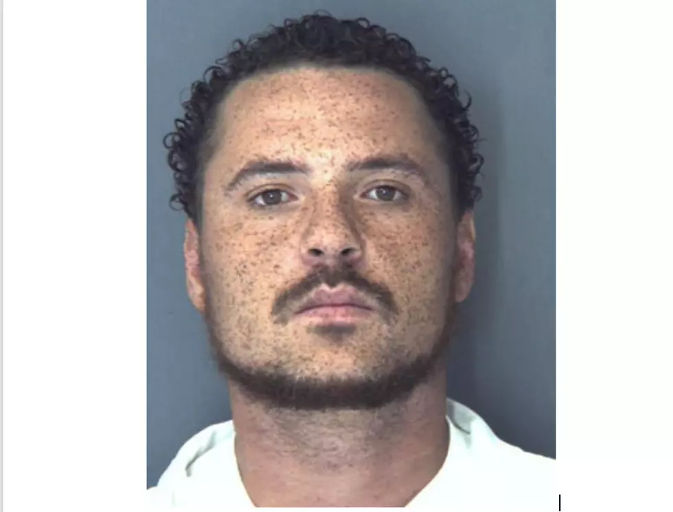 Hudson Valley Man Admits to Driving Drunk, High During Fatal Crash