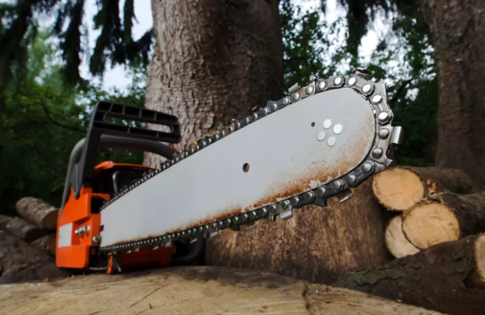 Hudson Valley Man Killed Cutting Down Trees