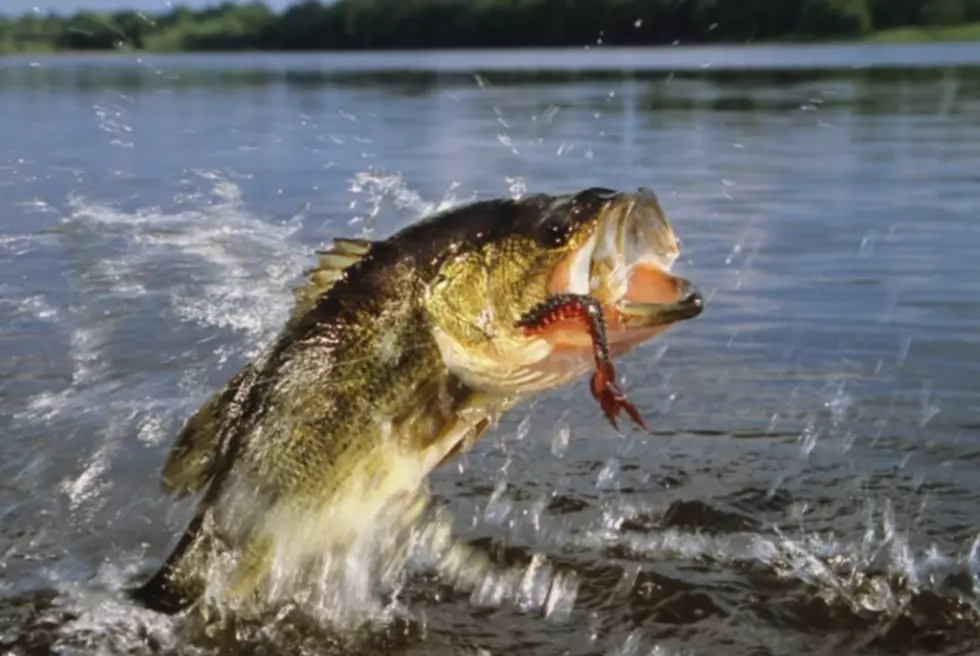 Over 130 Tickets Issued for Illegal Fishing in Hudson River