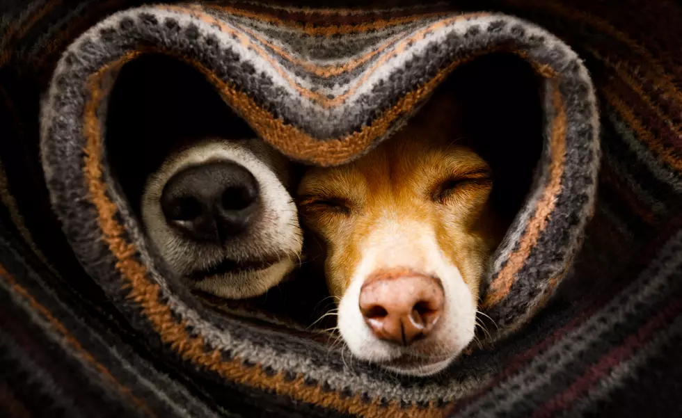 The 30 Coziest Places To Live In New York